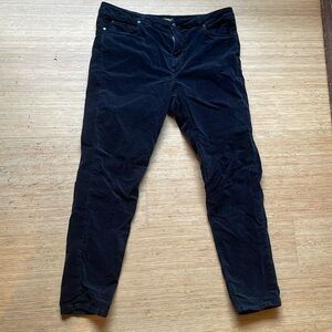 J.McLaughlin velveteen jeans black sz 12 women’s excellent stretch velvet black